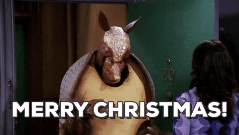 Happy Christmas Armadillo Costume GIF