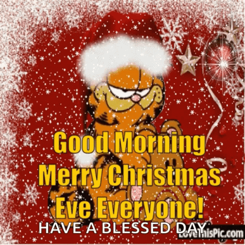 Happy Christmas Eve 498 X 498 Gif GIF