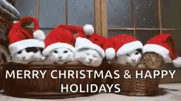 Happy Christmas Harry 5 Kittens With Santa Hat GIF