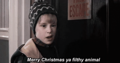 Happy Christmas Harry Kevin Mccallister Filthy Animal GIF