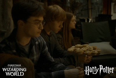 Happy Christmas Harry Ron Hermione Adults Pie GIF