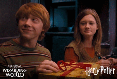 Happy Christmas Harry Ron Weasley Adult GIF