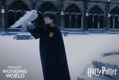 Happy Christmas Harry White Eagle GIF