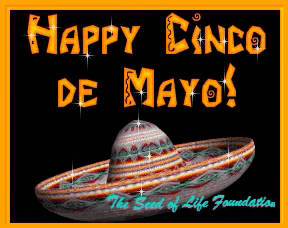 Happy Cinco De Mayo Gif GIF