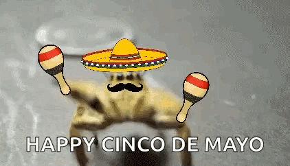 Happy Cinco De Mayo Mexican Crab GIF