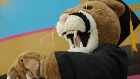 Happy College Graduate Panther Mascot GIF