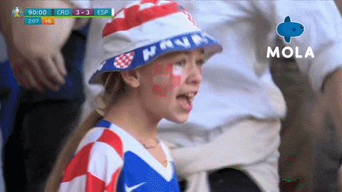 Happy Croatia Football Fan GIF