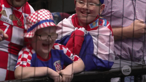 Happy Croatian Kid Fan GIF