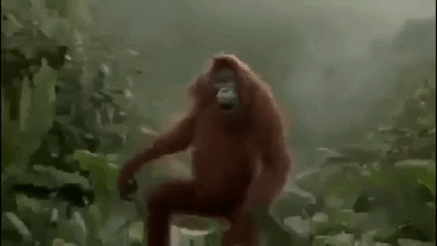 Happy Day Dancing Ape GIF
