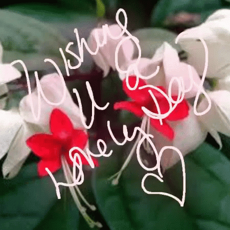 Happy Day Special Good Morning GIF