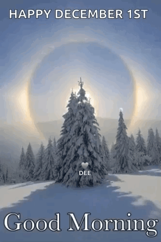 Happy December 1st Good Morning Snowy Forest Christmas Tree