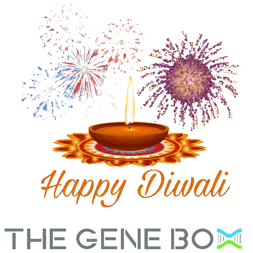 Happy Diwali Greeting Card with Candle and Fireworks