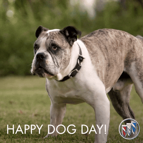 Happy Dog Day Barking Sound GIF