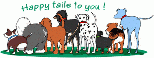 Happy Dog Day Happy Tails To You GIF