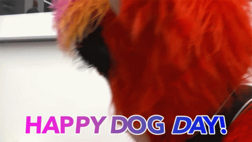 Happy Dog Day Petting Animal GIF