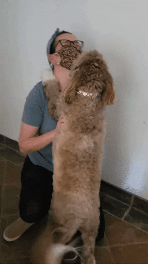 Happy Dog Hug GIF