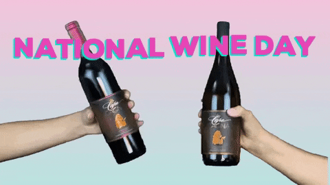 Happy Drinking National Wine Day GIF