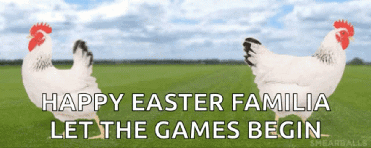 Happy Easter Familia Let The Games Begin  GIF