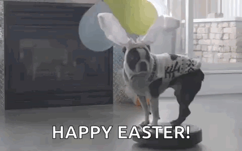 Happy Easter Sunday Boston Terrier Figurine GIF