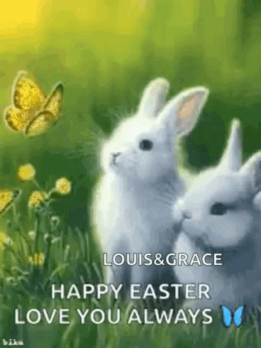 Happy Easter Sunday Two White Rabbit GIF