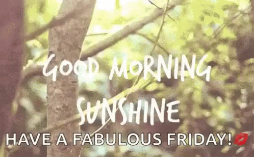 Happy Fabulous Long Weekend Morning GIF