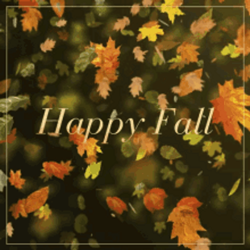 Happy Fall Beautiful Autumn Leaves Falling GIF