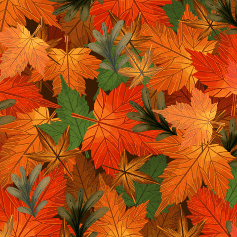 Happy Fall Cute Penguin Lays Down Leaf GIF