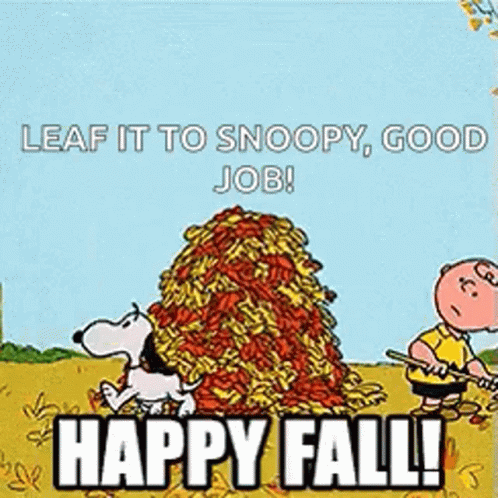 Happy Fall Saturday Snoopy And Charlie Brown Playing GIF