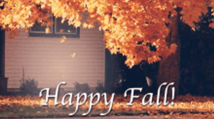 Happy Fall Soft Leaves Falling GIF