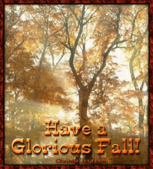 Happy Fall Sunday Have A Glorious Fall GIF