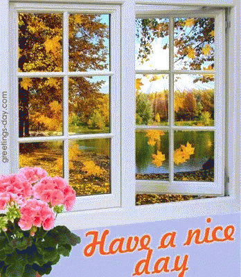 Happy Fall Sunday Have A Nice Day GIF