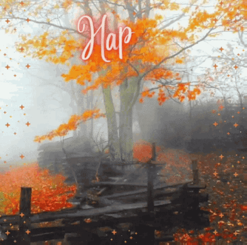 Happy Fall Sunday You All GIF
