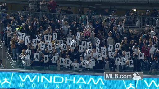 Happy Fans After Yankees Win GIF