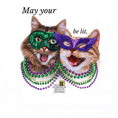 Happy Fat Tuesday Life Choices GIF