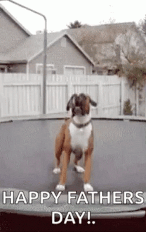 Happy Fathers Day Funny Dog Bounce GIF
