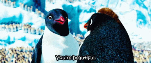 Happy Feet Gloria You're Beautiful GIF