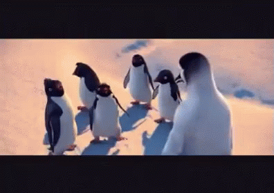 Happy Feet Penguins Jump On Cliff GIF