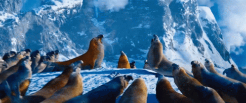 Happy Feet Seal Fighting GIF