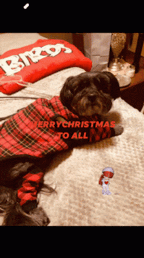 Happy Festivus Dog In Pajama GIF