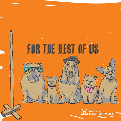 Happy Festivus Rest GIF