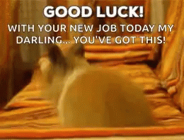 Happy First Day Hopping Bunny GIF