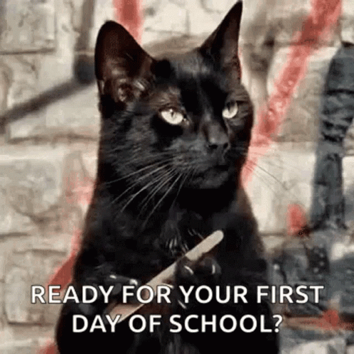 Happy First Day Of School Black Cat Asking GIF