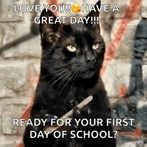 Happy First Day Of School Black Cat Filing Its Claws GIF