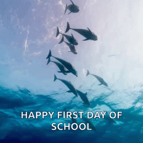 Happy First Day Of School Dolphins Swimming GIF
