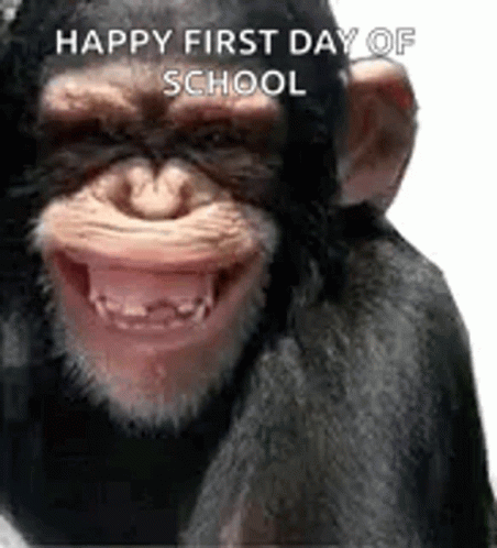 Happy First Day Of School Smiling Monkey GIF