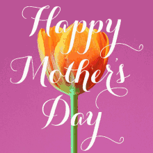Happy First Mothers Day Yellow Tulips GIF