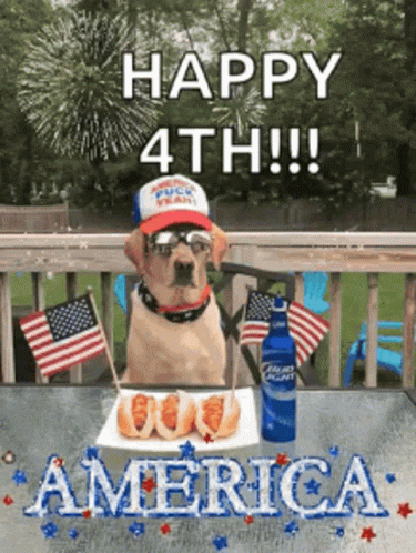 Happy Fourth America Keep Your Pets Safe GIF