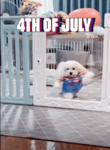 Happy Fourth Birthday Dog GIF
