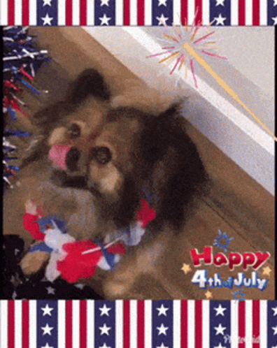 Happy Fourth Furry Girl GIF