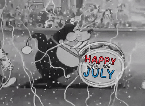 Happy Fourth Of July Seal Playing Drum GIF